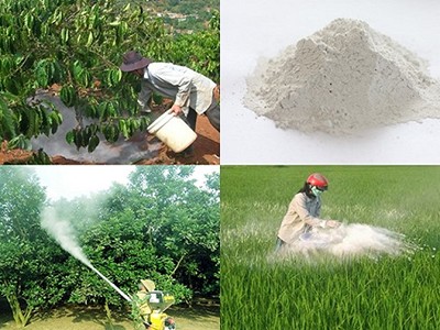 CS-Hướng dẫn cách hạ phèn, đuổi mặn cho vườn cây ăn trái