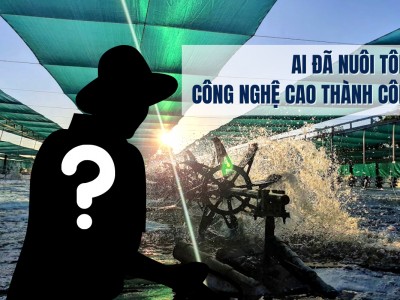 Ai đã nuôi tôm công nghệ cao thành công?