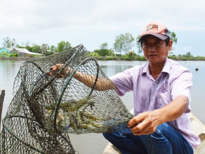 Cà Mau: Gần Tết mà đơn hàng thưa thớt, nông dân, hợp tác xã được hỗ trợ đưa nông sản lên... sàn