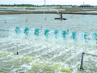 Lưu ý khi sử dụng thuốc, hóa chất