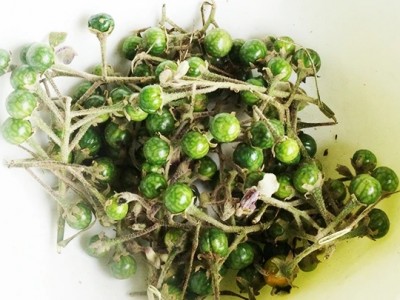 Loại quả dại này nhiều nơi liếc mắt bỏ qua, ở Tây Nguyên lại ra đặc sản, giúp cơ thể săn chắc, dẻo dai