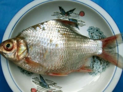 Loại cá thấy vô số vào mùa nước nổi miền Tây, xưa chê toàn xương, nay làm món ngon hơn mâm cao cỗ đầy