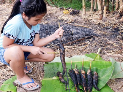 Loài cá dễ tìm, nhan nhản ở miền Tây nhưng cực nhiều dinh dưỡng được chế biến thành vạn món ngon