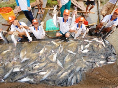Bộ NNPTNT tháo gỡ vướng mắc trong kiểm dịch thủy sản nhập khẩu, doanh nghiệp giảm gánh nặng