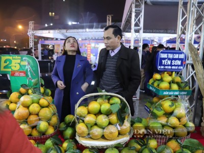 Hà Tĩnh sắp mở hội cho cam, loại đặc sản nổi tiếng thơm ngon