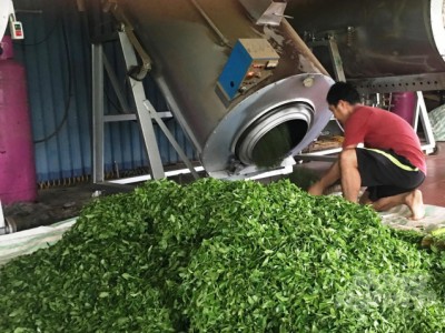 Những chuyển dịch ở vùng 'đệ nhất danh trà'