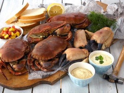 Khám phá mùa đánh bắt cua nâu Na Uy, cua nâu có gì đặc biệt mà nhiều người thích săn về ăn?