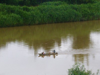 Loại cá sông ở Kon Tum bơi lật ngửa cho 