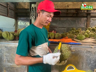 Lạ, ở Đắk Nông thấy trèo 