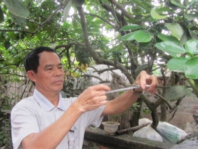 'Phù thủy' ghép thành công hàng chục giống cây