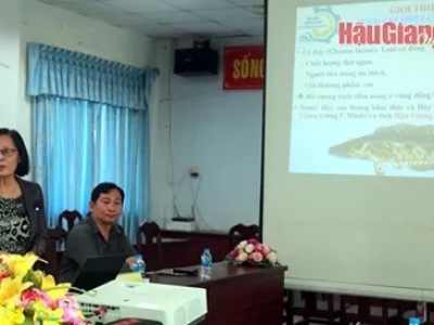 Loài cá dày đặc sản ở miền Tây sẽ được Hậu Giang ương giống, nuôi thành cá thịt thương phẩm