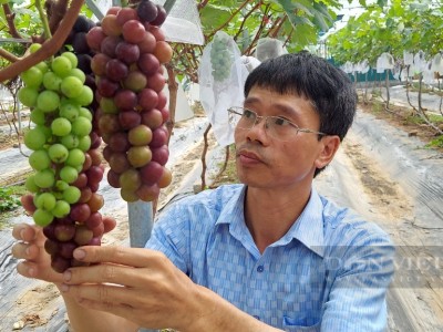Anh nông dân 