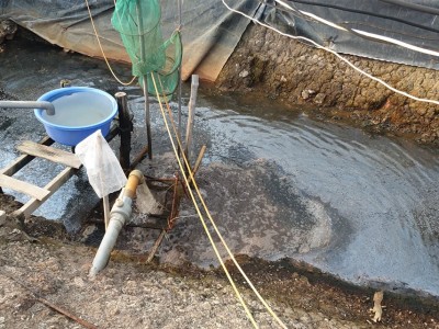 Xử lý hiệu quả nước thải thủy sản