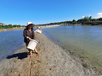 Xử lý nước ao nuôi nhiễm phèn