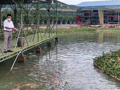 Vườn hoa lan tiền tỷ của một nông dân giàu có ở Bình Thuận, tạo việc làm lương cao cho tới 35 người