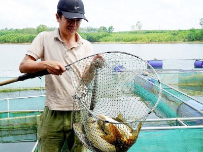 Một mô hình khép kín, vừa nuôi cá vừa kiêm luôn chủ nhà hàng