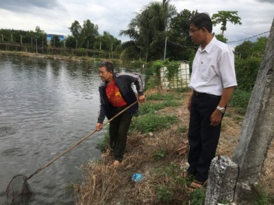Hết cảnh long đong nhờ nuôi cá rô đầu vuông xen vụ cá lóc