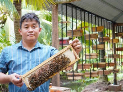 Nuôi ong tách tầng, hiệu quả tăng bằng lần