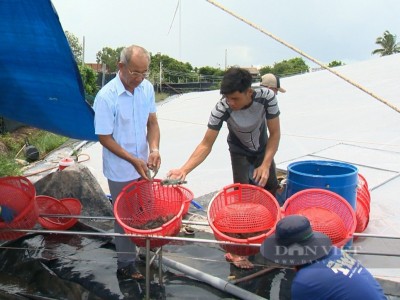 Nuôi tôm công nghệ cao lời 50 tỷ/năm, một người Bến Tre được bình chọn Nông dân Việt Nam xuất sắc 2023