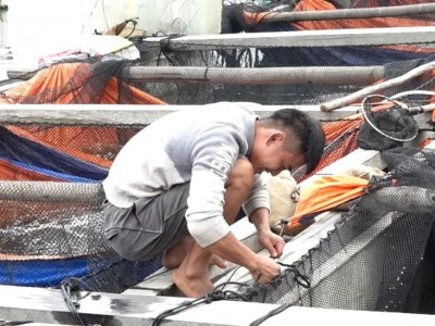 Buộc khung bè, hạ thấp lồng nuôi thủy sản trước khi lên bờ