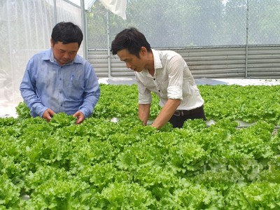 Một anh nông dân Khánh Hòa 