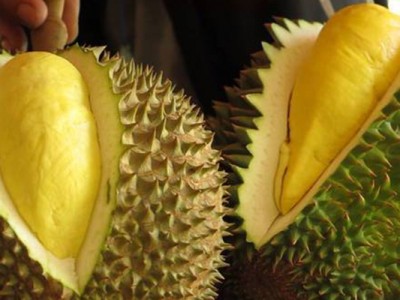 Giá sầu riêng 30/8: Ngoài Tây Nguyên, nơi nào của Việt Nam còn sầu riêng bán, sao giá vẫn sốt?