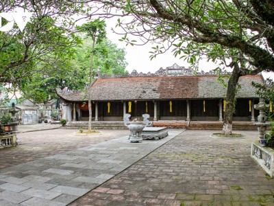 Hiếm có Việt Nam: Loài hoa sen đất tuyệt đẹp trong ngôi chùa cổ 600 năm tuổi ở Hà Nội