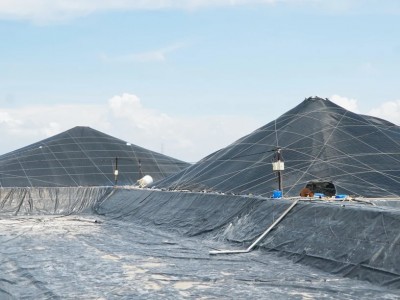 Thời tiết bất lợi, người nuôi tôm phải ‘treo ao’