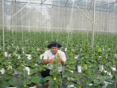 6 tháng chuyển đổi cơ cấu sản xuất hơn 1.000 ha