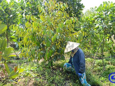 Cẩn trọng phát triển 