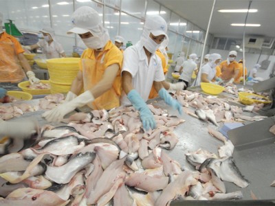 Xuất khẩu cá tra bật tăng trở lại