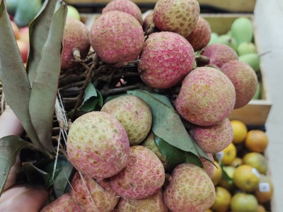 Loại quả ăn vào chữa lành tổn thương, đẹp da, giá 140.000 đồng/kg vẫn bán chạy