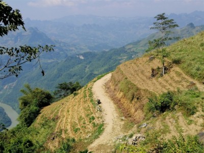 Trồng chè hồi sinh vùng đất khô cằn nhất Mường Khương