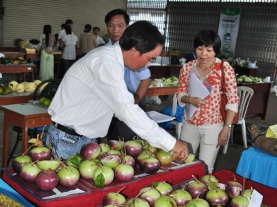 Vú sữa tím tăng tốc vào thị trường Mỹ