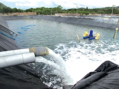 Bảo vệ nguồn nước – Chìa khóa thành công trong nuôi thủy sản bền vững