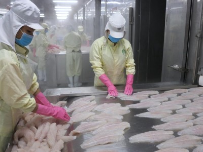 Một quốc gia đột nhiên khan hiếm cá sau xung đột Nga - Ukraine, cơ hội cho một loài cá của Việt Nam?