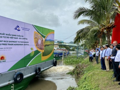Loại nông sản được trồng nhiều nhất ở Việt Nam bán sang Anh phải ngậm ngùi mang tên... Tây
