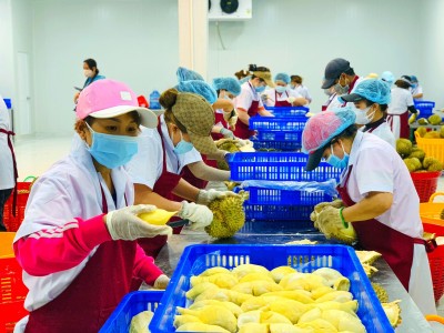 Bộ NNPTNT đặt mục tiêu xuất khẩu nông sản năm 2022 thu 55 tỷ USD, cao hơn Chính phủ giao